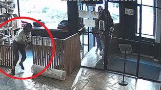 Toruń: Skandal w kociej kawiarni. Próbowała wynieść kota