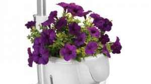 Indoor garden, czyli mini-ogródek w twoim domu 1