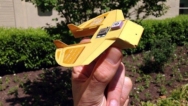 Cicada dron