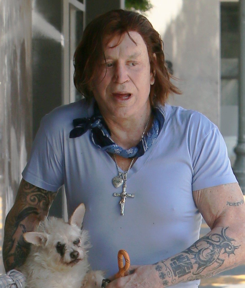 Mickey Rourke spaceruje po LA z gromadką pupili