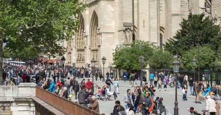 Zamieszanie wokół Notre Dame. Francuzi podzieleni