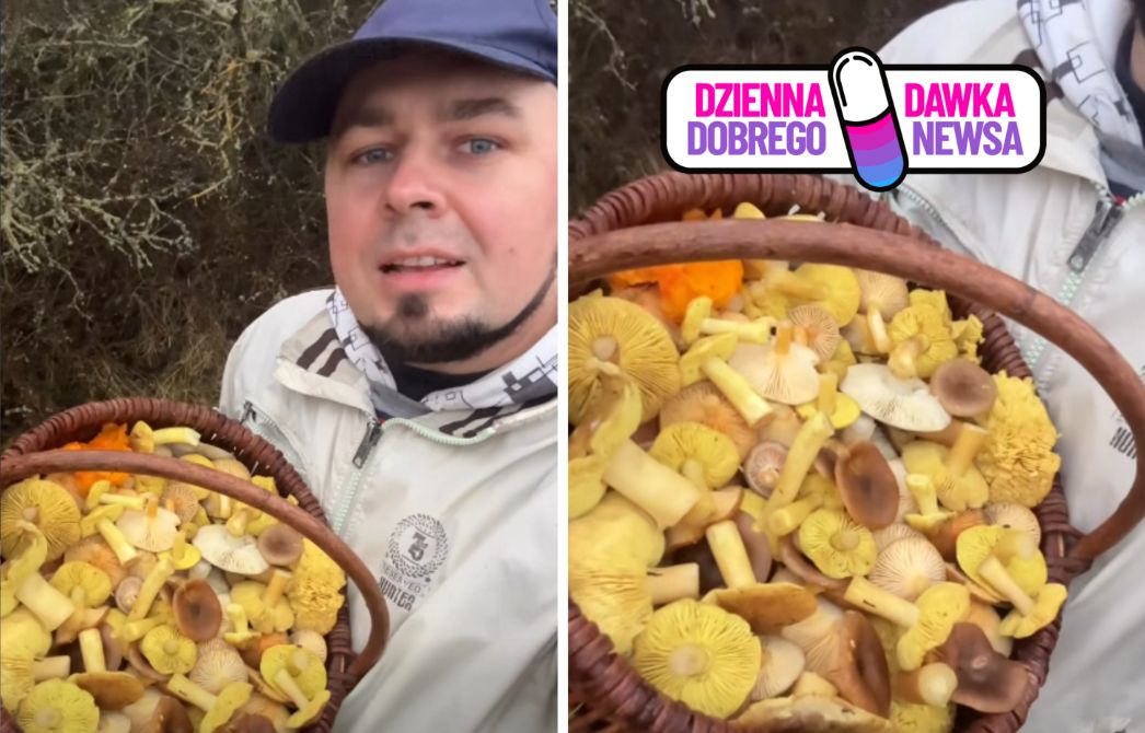 Koniec listopada. Wrócił do domu z pełnym koszem grzybów