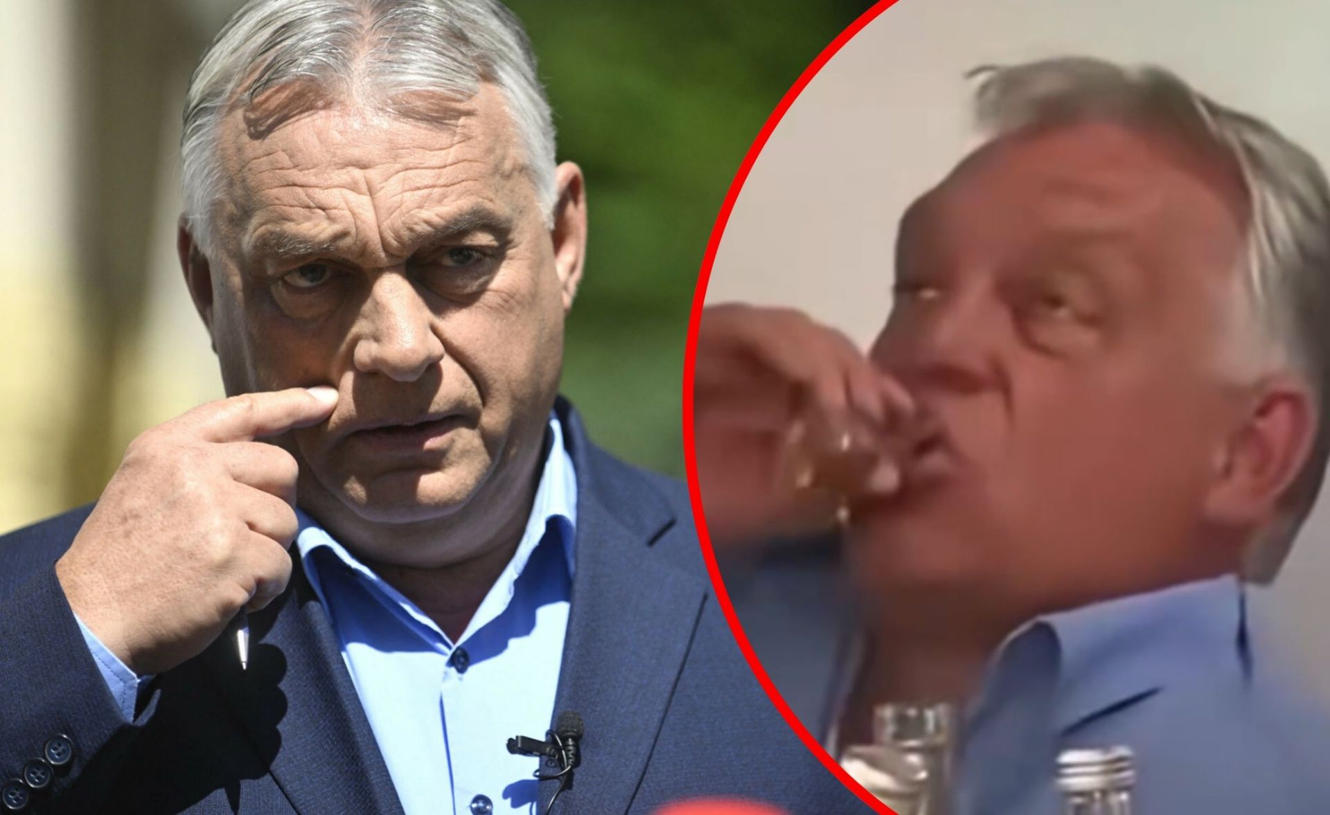 Orbán bawi się na serbskim festiwalu trąb – sensacyjne zdjęcia