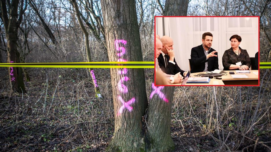 Warszawa. Wtorek to kolejny dzień rozmów urzędników i aktywistów na temat planowanej wycinki drzew na Wybrzeżu Helskim