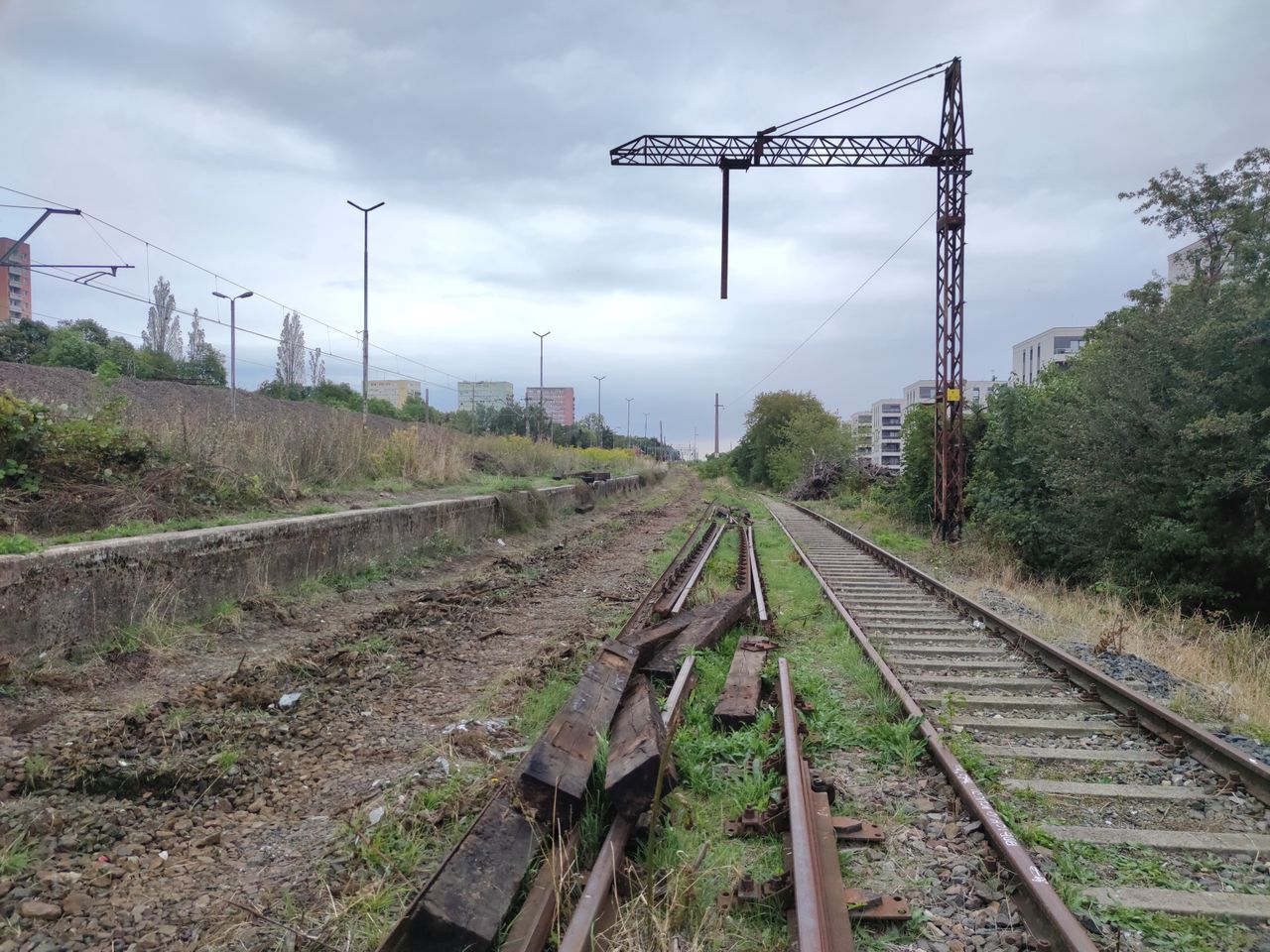 Kontrowersje wokół linii 201. Twierdzą, że inwestycja wpłynie na przyrodę