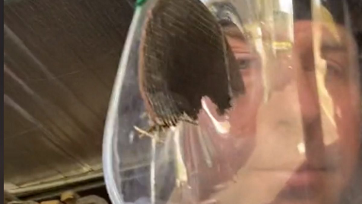 Centymetry dzieliły mężczyznę od trwałego okaleczenia