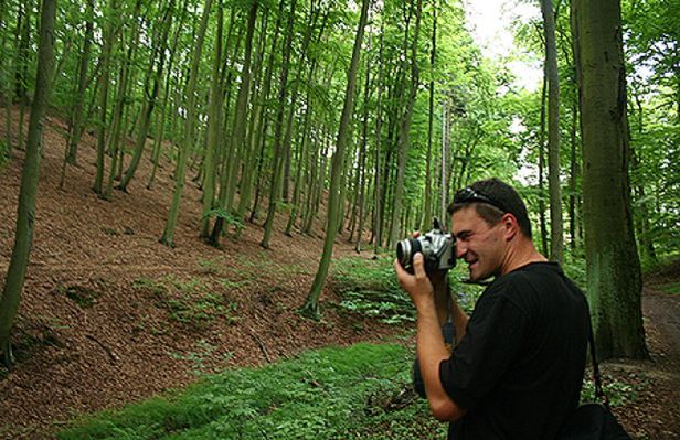 Obraz