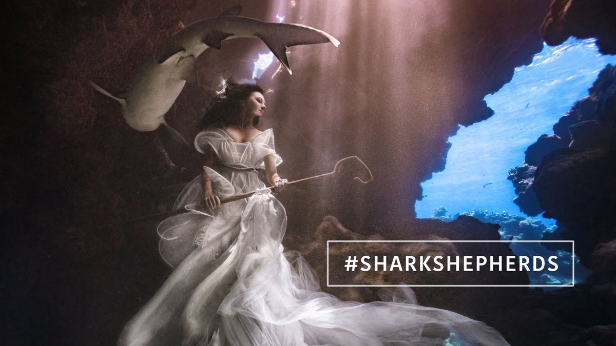 Te surrealistyczne portrety z rekinami to nie fotomontaż 1