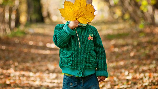 „Kolorowe zdjęcie na jesienne szarości” - dodatkowa nagroda powędruje do... 1
