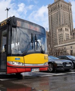 Prawie 800 zł kary za maskotkę w autobusie. "Szkodzi estetyce"