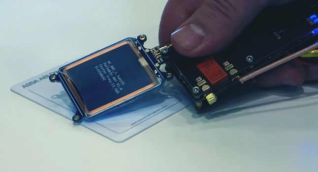 350245795838453697