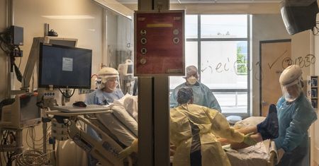 Dżuma w USA. Chory zaraził się od kota