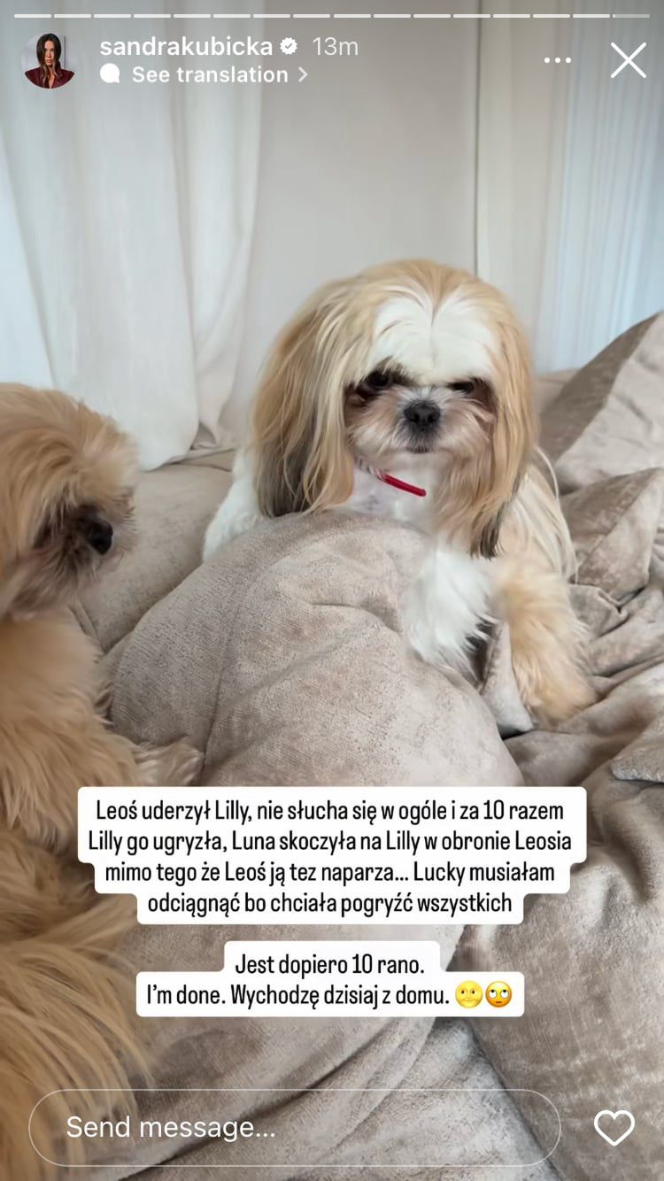 Pies ugryzł syna Sandry Kubickiej