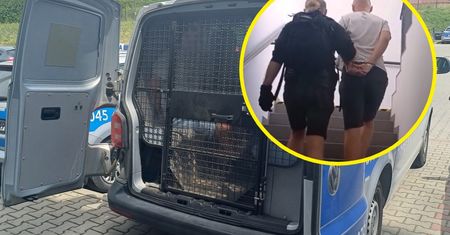 Wpadł do sklepu i wbił śrubokręt w głowę kobiety. Masakra pod Krakowem