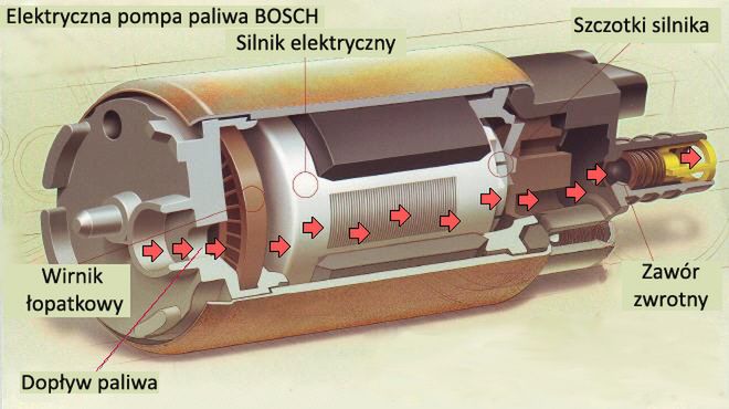 Zdjęcie ilustracyjne do artykułu
