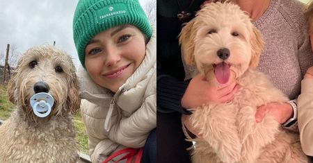 Agata Rubik wylicza koszty... strzyżenia psa w Miami. Tanio nie jest