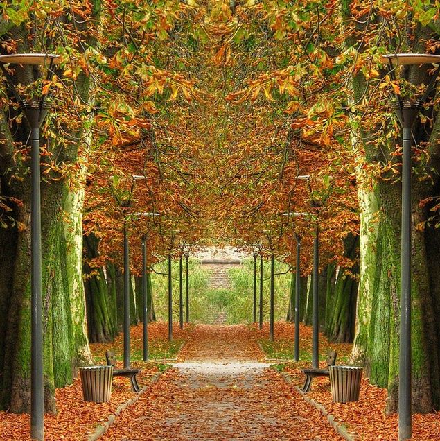 Jesienne inspiracje [galeria] 8