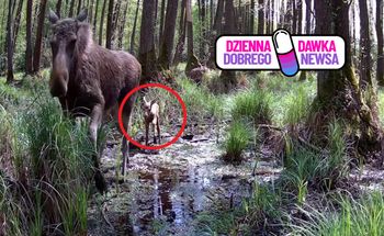 "Nóżki wciąż negocjują". Nagranie rozczuliło internautów