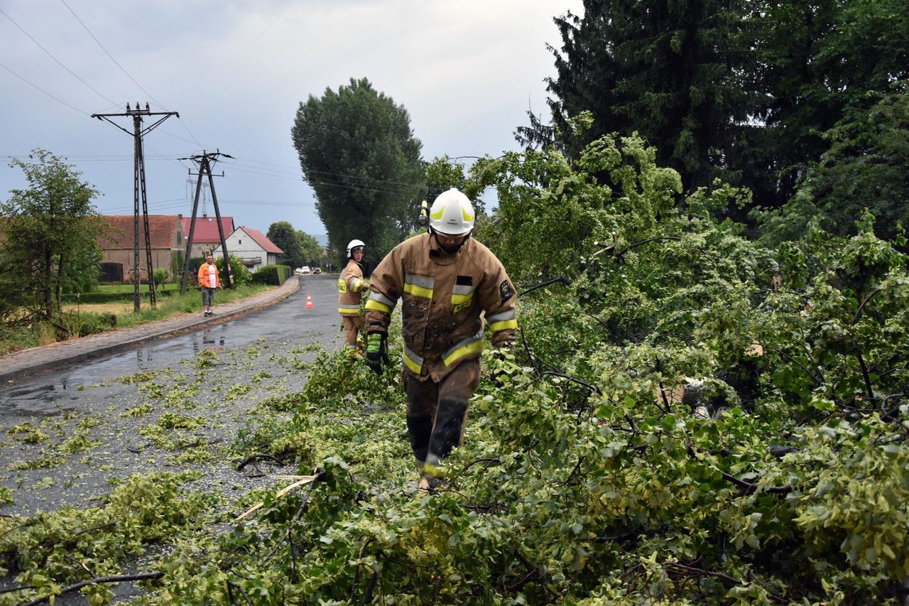 Dolny Śląsk: Deszczowo będzie przez kilka dni. Są alerty IMGW