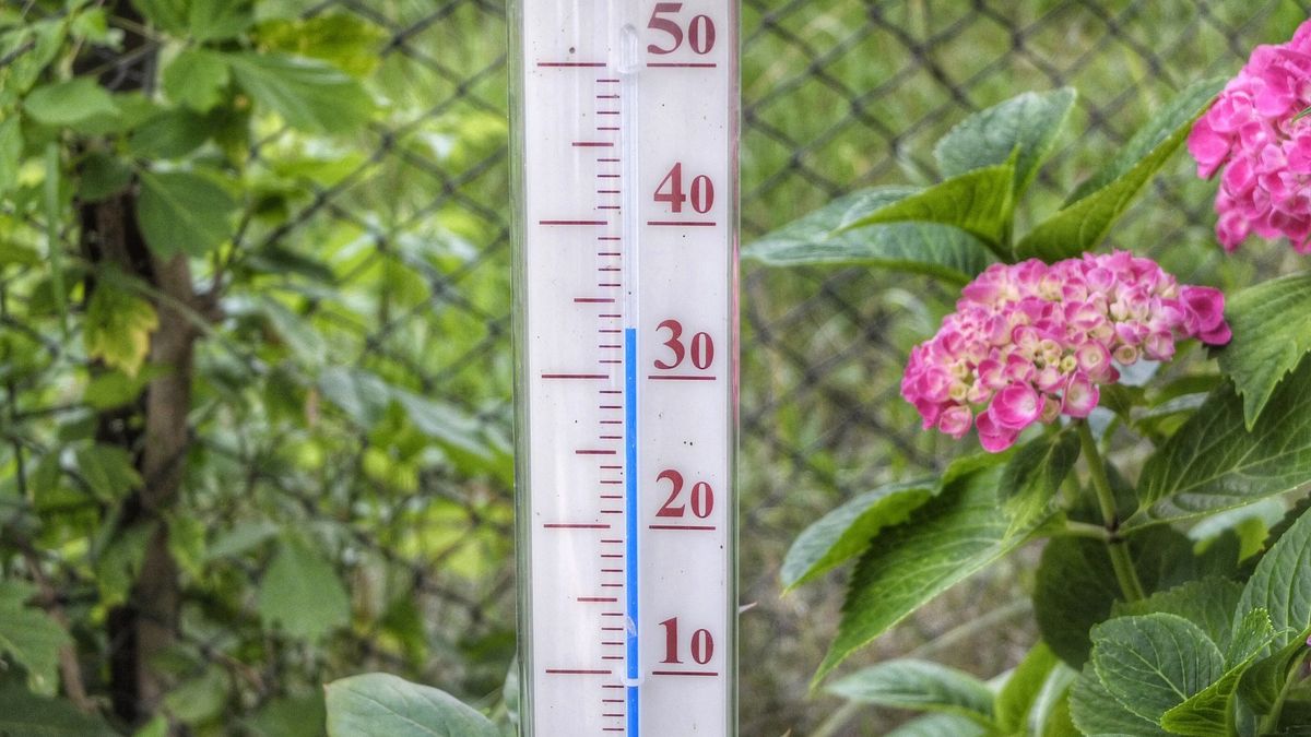 Pogoda długoterminowa. Jaki będzie wrzesień?