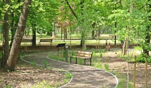 Sosnowiec. Park zmienił oblicze, otwarcie w Dzień Matki