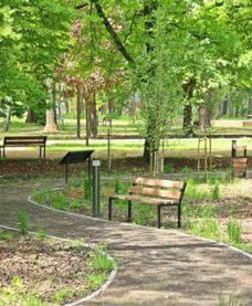 Sosnowiec. Park zmienił oblicze, otwarcie w Dzień Matki