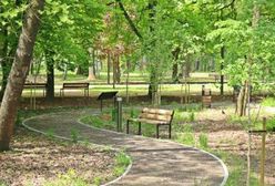 Sosnowiec. Park zmienił oblicze, otwarcie w Dzień Matki