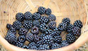 6 pomysłów na jeżyny