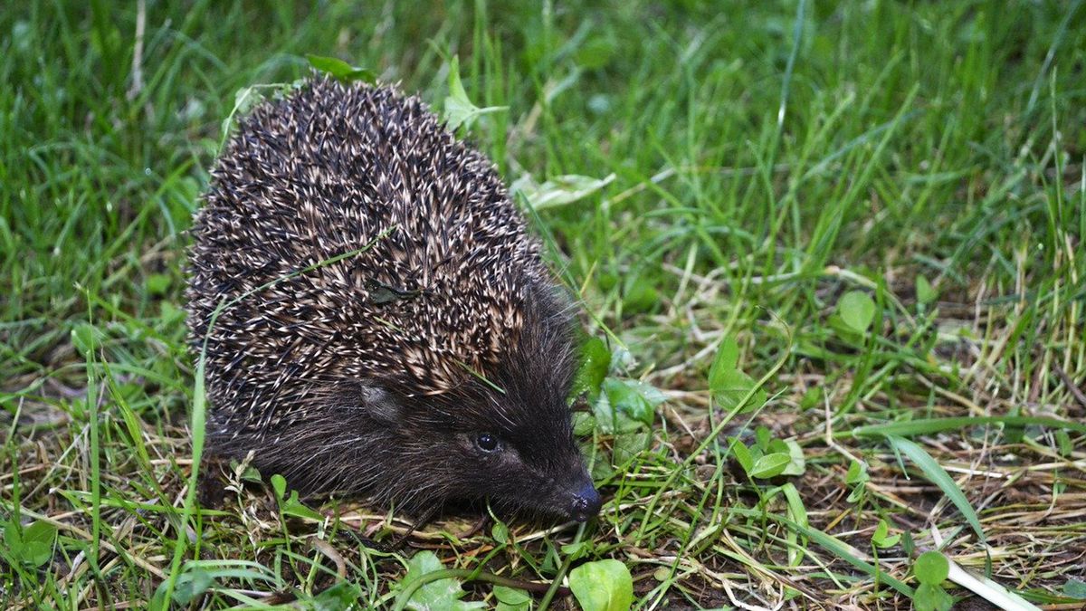 Przełomowe odkrycie naukowców 