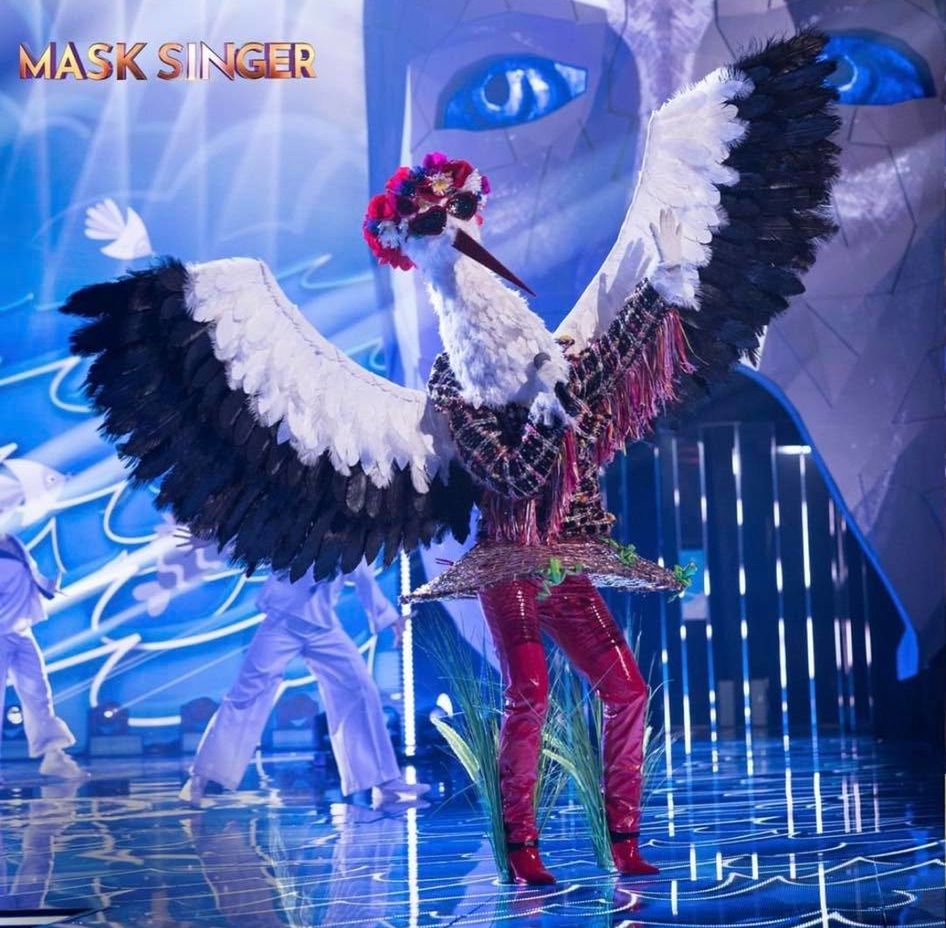 Uczestnicy "Mask Singer"