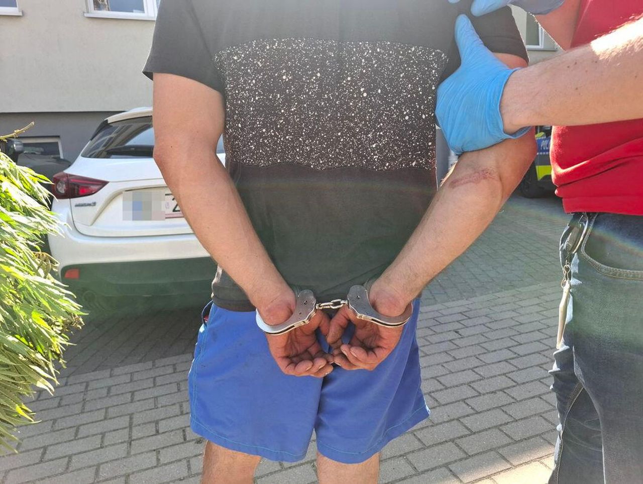 Bielsk Podlaski: Nielegalna uprawa konopi indyjskich. 31-latek zatrzymany