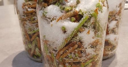 Leśnicy zdradzili przepis. To lekarstwo na popularne dolegliwości