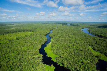 Ekspert: natura może wzmocnić połowę granicy Polski z Białorusią i Rosją