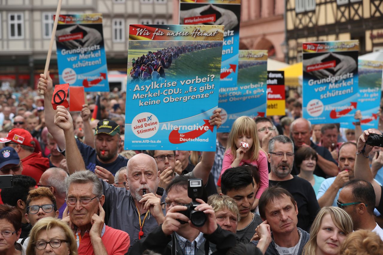 AfD w Nadrenii-Palatynacie płaci uczestnikom demonstracji. "Dla dobra Niemiec" 