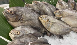 W innych krajach zakazano jej sprzedaży. W Polsce nadal jest dostępna