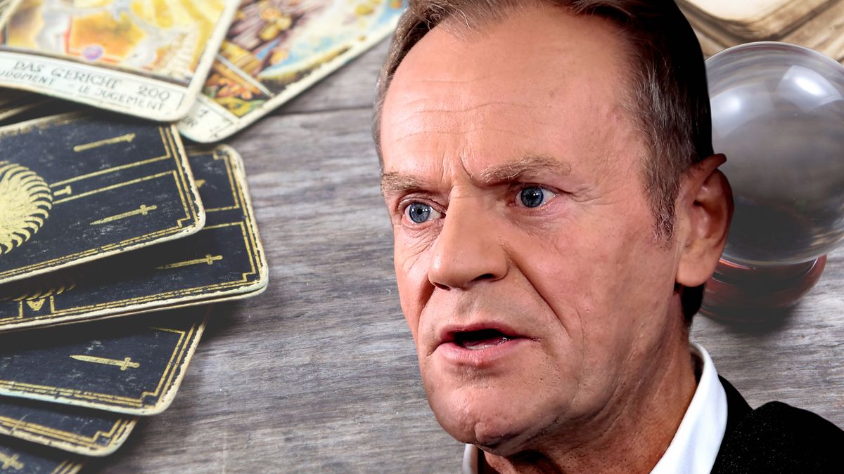 Chiromantka wywróżyła z dłoni Donalda Tuska.
