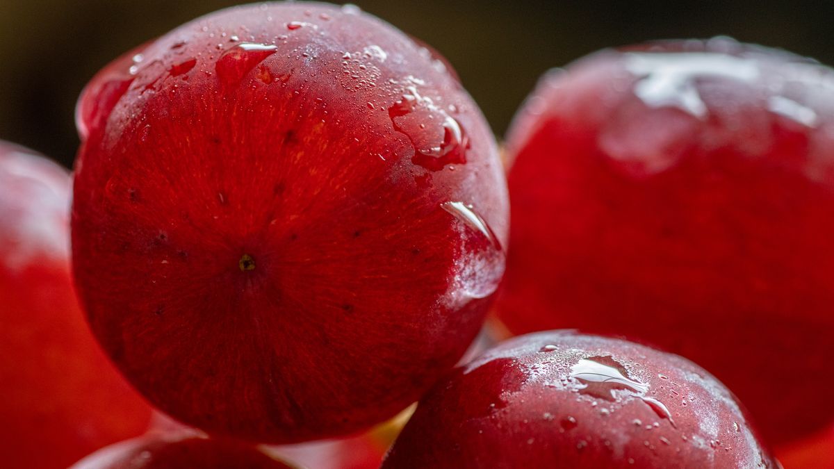 Grapes
Close up image of grapes
Tim M Lanthier