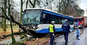 Groźna sytuacja w Sopocie. Autobus wjechał w drzewo