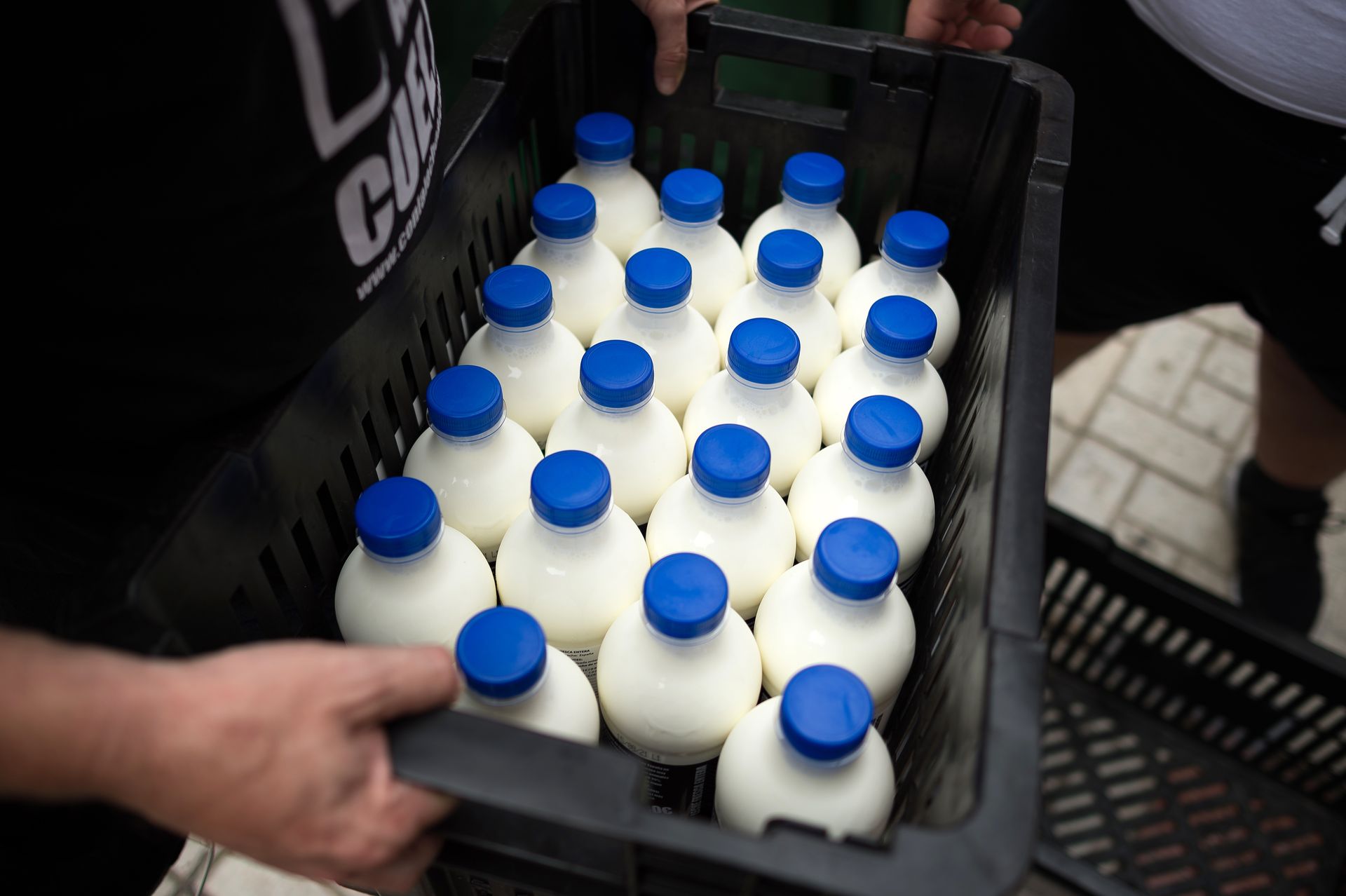 Automat z mlekiem od rolnika. Tyle kosztuje jedna butelka