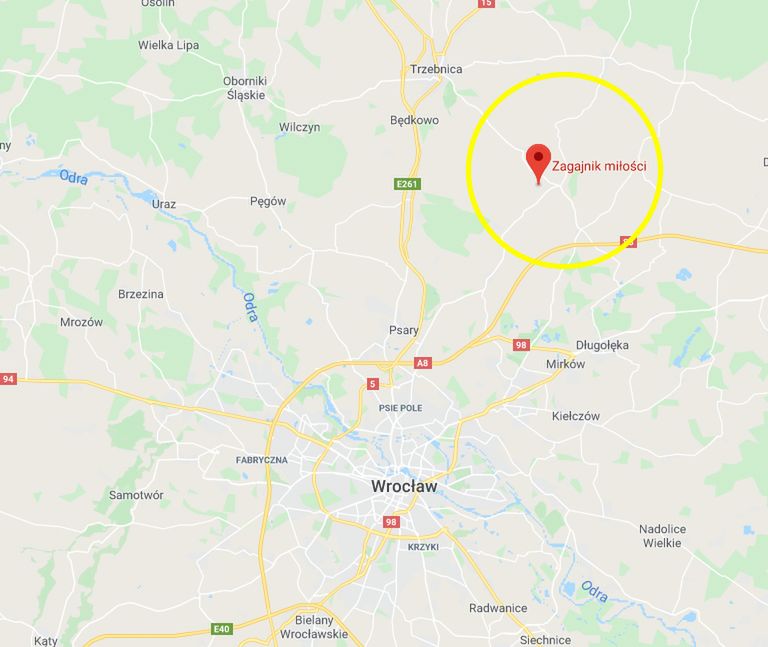 ”Miłosny lasek” koło Trzebnicy: Na zdjęciu widać serce 2