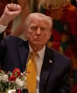 "Potężny i śmiertelny cios". USA uderzyły w Nigerii