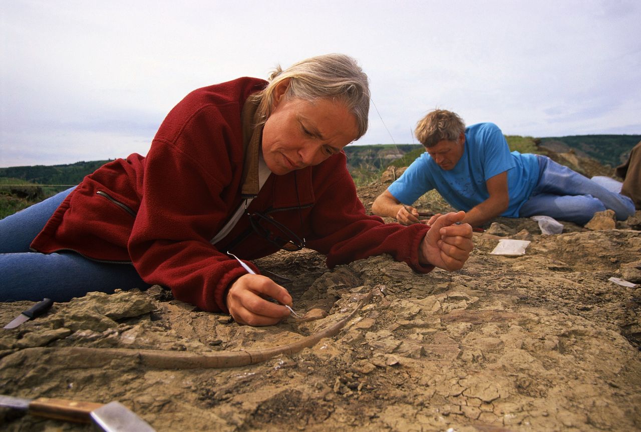 Dzień Dinozaura. Paleontologia uczy patrzeć szerzej