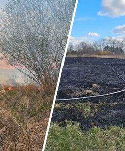 13-latki chciały rozpalić ognisko. Doszło do dużego pożaru traw