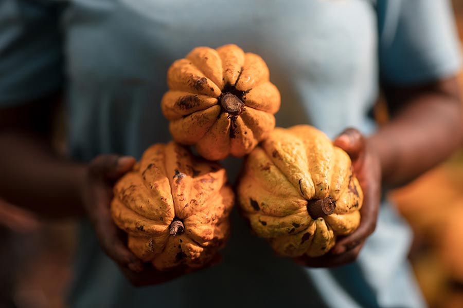 Na zdjęciu Deborah Osei-Mensah, rolniczka uprawiająca kakao w Ghanie, fot. Francis Kokoroko, Fairtrade, Fairpicture