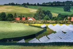 Dolny Śląsk. Powstaje największa w Polsce farma fotowoltaiczna