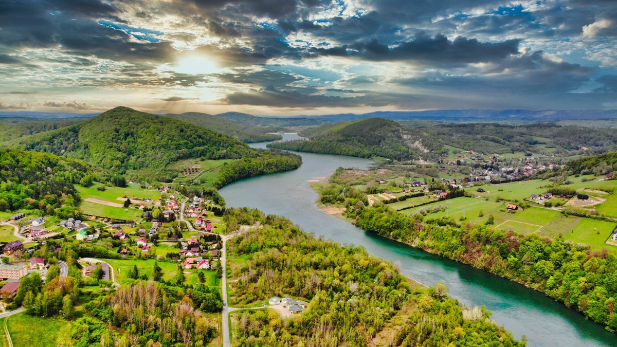 Niedźwiedzie terroryzują mieszkańców gminy Solina