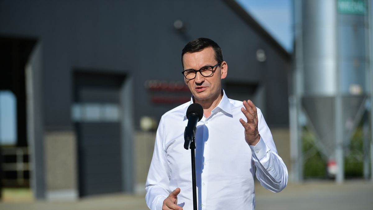 Kózki, 29.07.2022. Premier Mateusz Morawiecki podczas konferencji prasowej w trakcie wizyty w gospodarstwie rolnym w Kózkach (gm. Grębków), 29 bm. Trwa wizyta szefa rządu w województwie mazowieckim. (amb) PAP/Przemysław Piątkowski