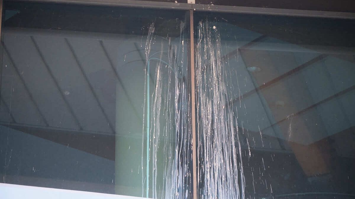 Gołębie odchody na szklanej fasadzie Aqua Lublin