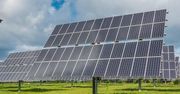 Leroy Merlin Polska inwestuje w energię słoneczną. Pierwsze instalacje jeszcze w tym roku