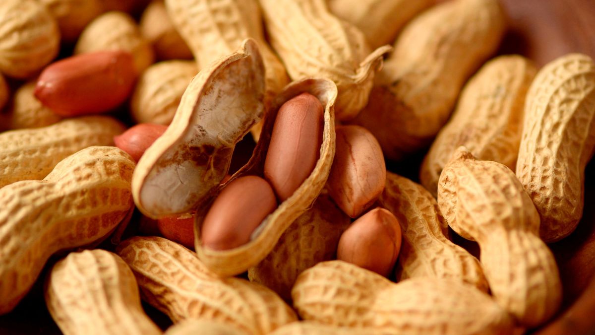 W orzeszkach ziemnych znajdują się duże ilości przeciwutleniaczy